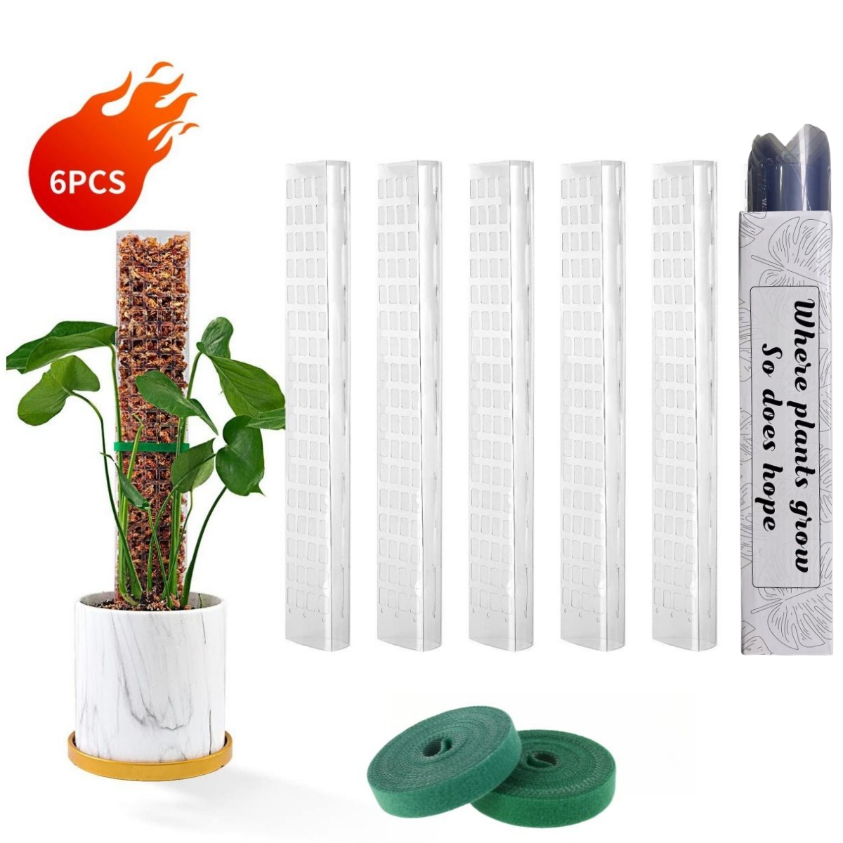 Indoor Herb Garden - نباتات أقطاب الطحلب تدعم النباتات البلاستيكية