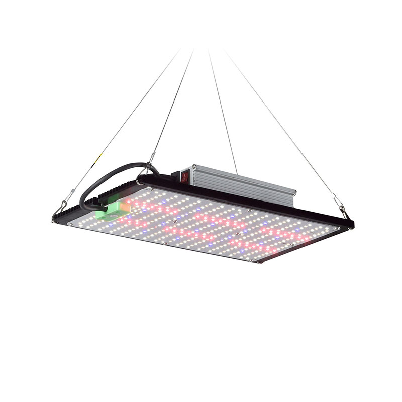 Grow Light Led - مصباح نمو LED كوانتوم-بورد كامل الطيف،