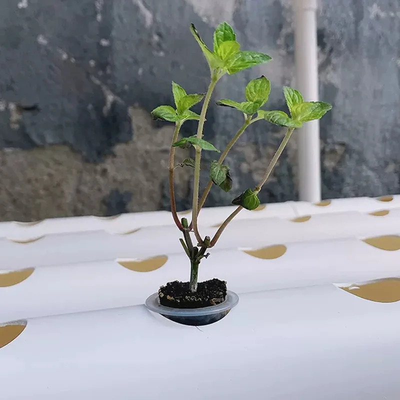 Hydroponic Kit - مجموعة نظام الزراعة بدون تربة، أنابيب