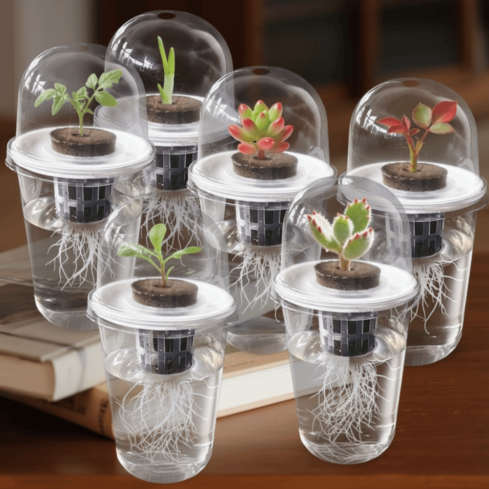 Seed Starter Tray - 1-5 قطع أكواب شفافة لنمو النباتات،