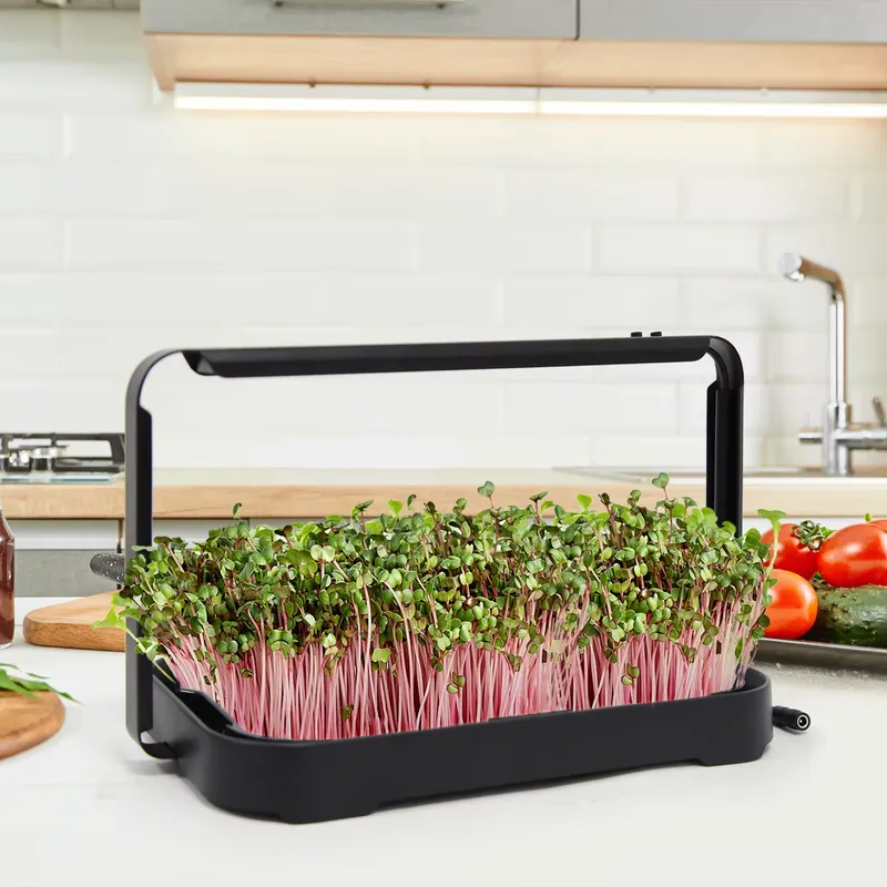 Hydroponic Kit - صينية زراعة مائية داخلية، نظام زراعة