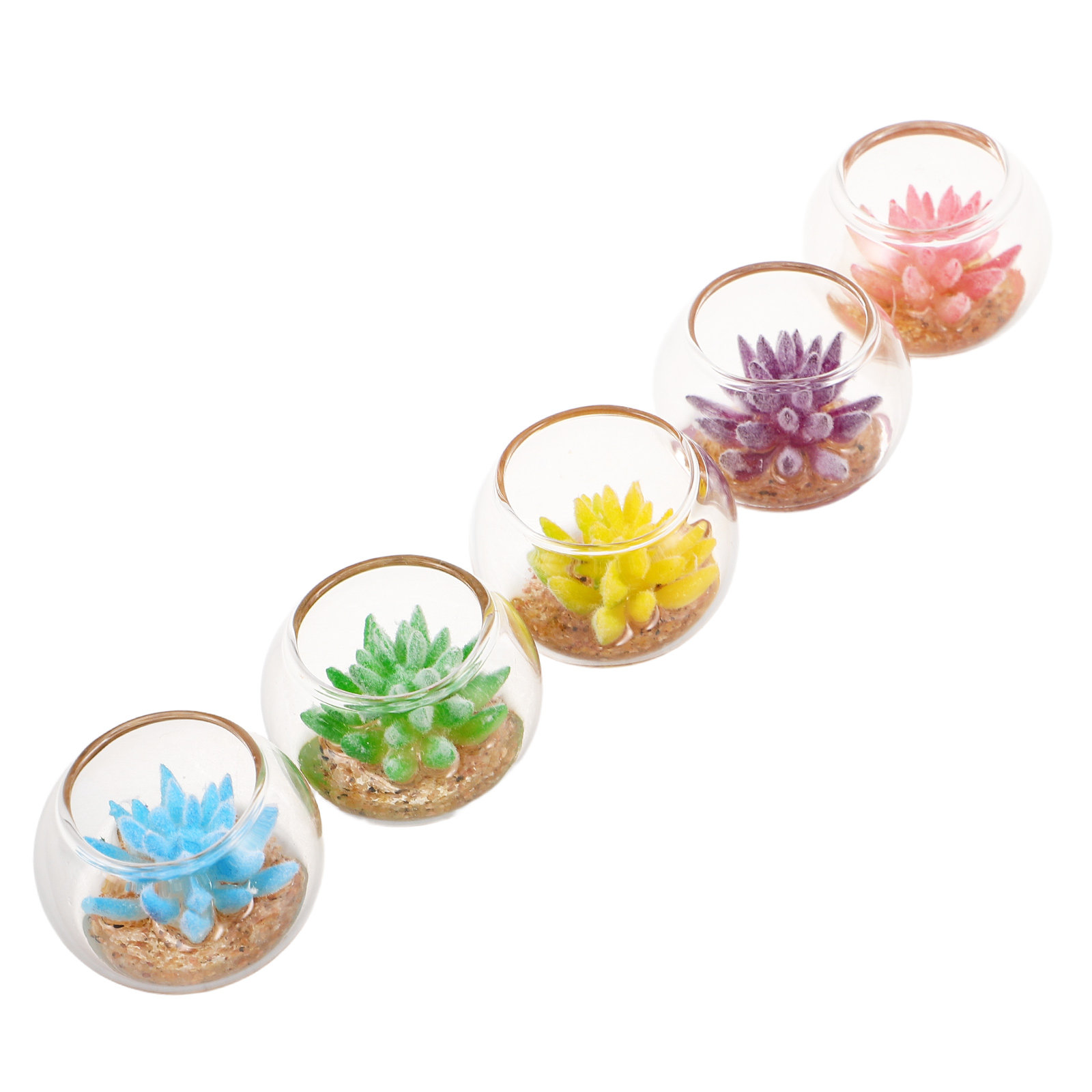 مجموعة من 5 أصص زجاجية صغيرة،  - مراجعة Plant Pot وسعره