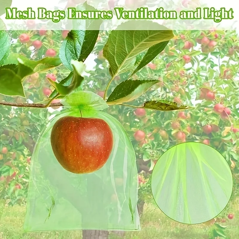 100 قطعة من الأكياس الواقية ال - مراجعة Grow Bag وسعره