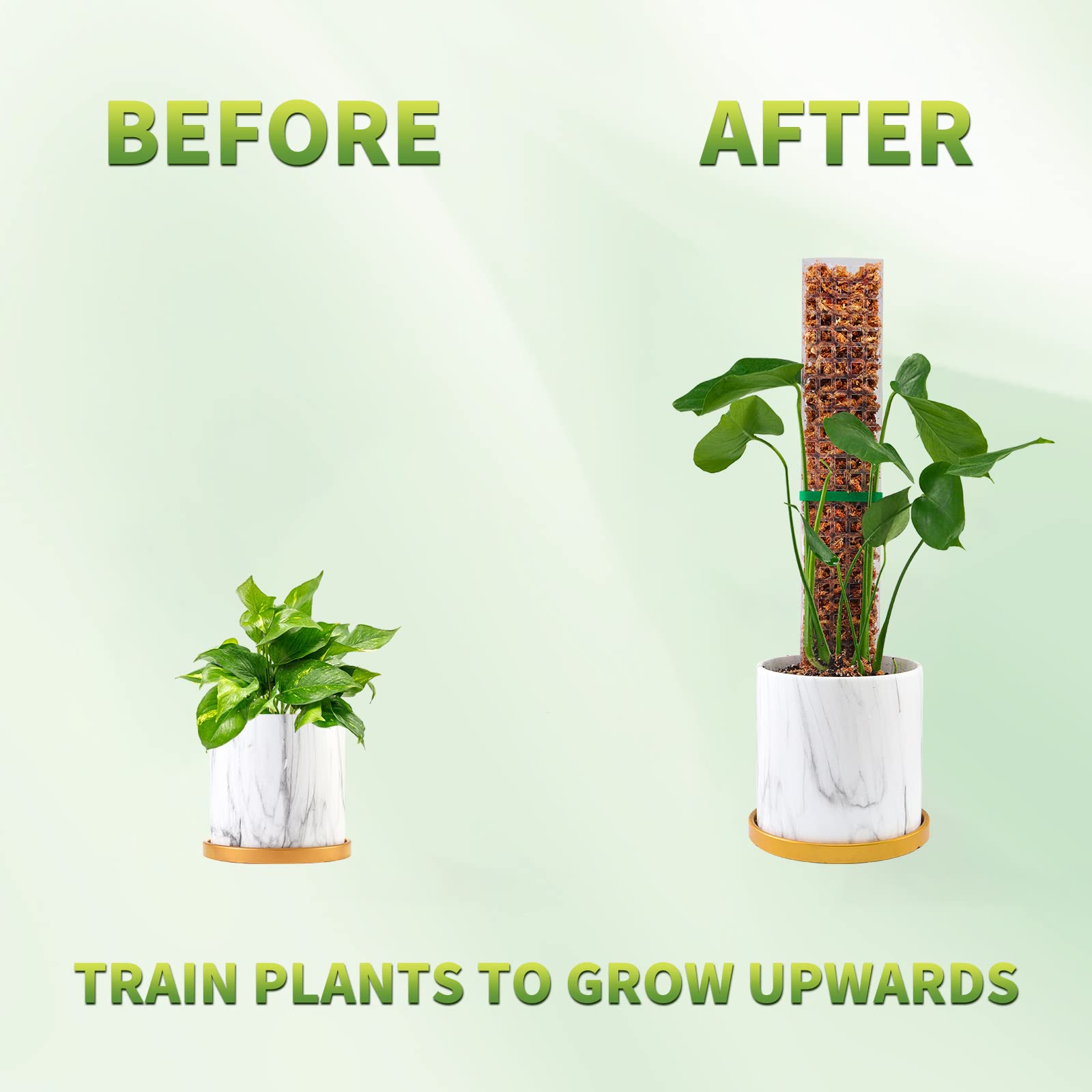 نباتات أقطاب الطحلب تدعم النبا - مراجعة Indoor Herb Garden وسعره