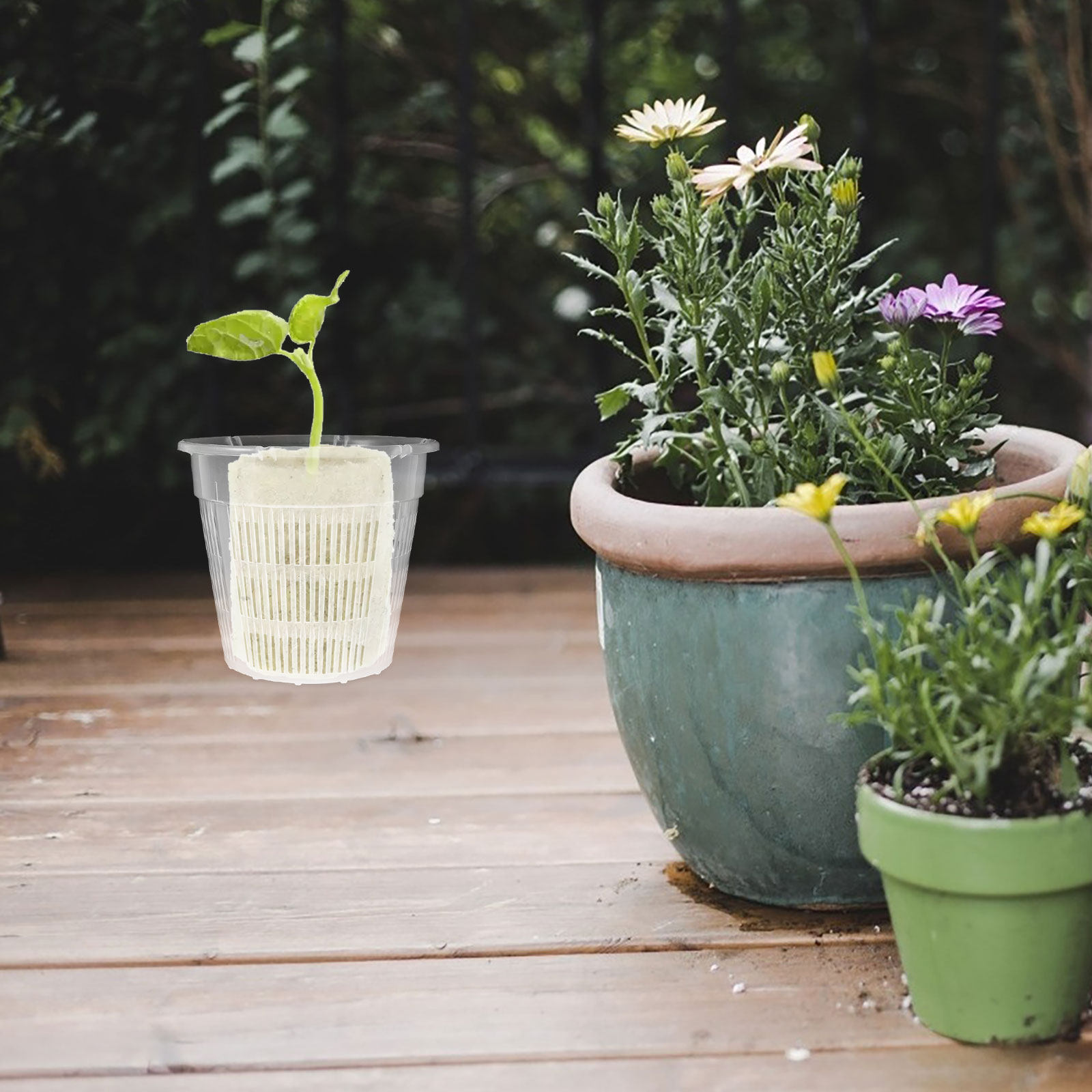 4 قطع من سلال النباتات المائية - مراجعة Plant Pot وسعره