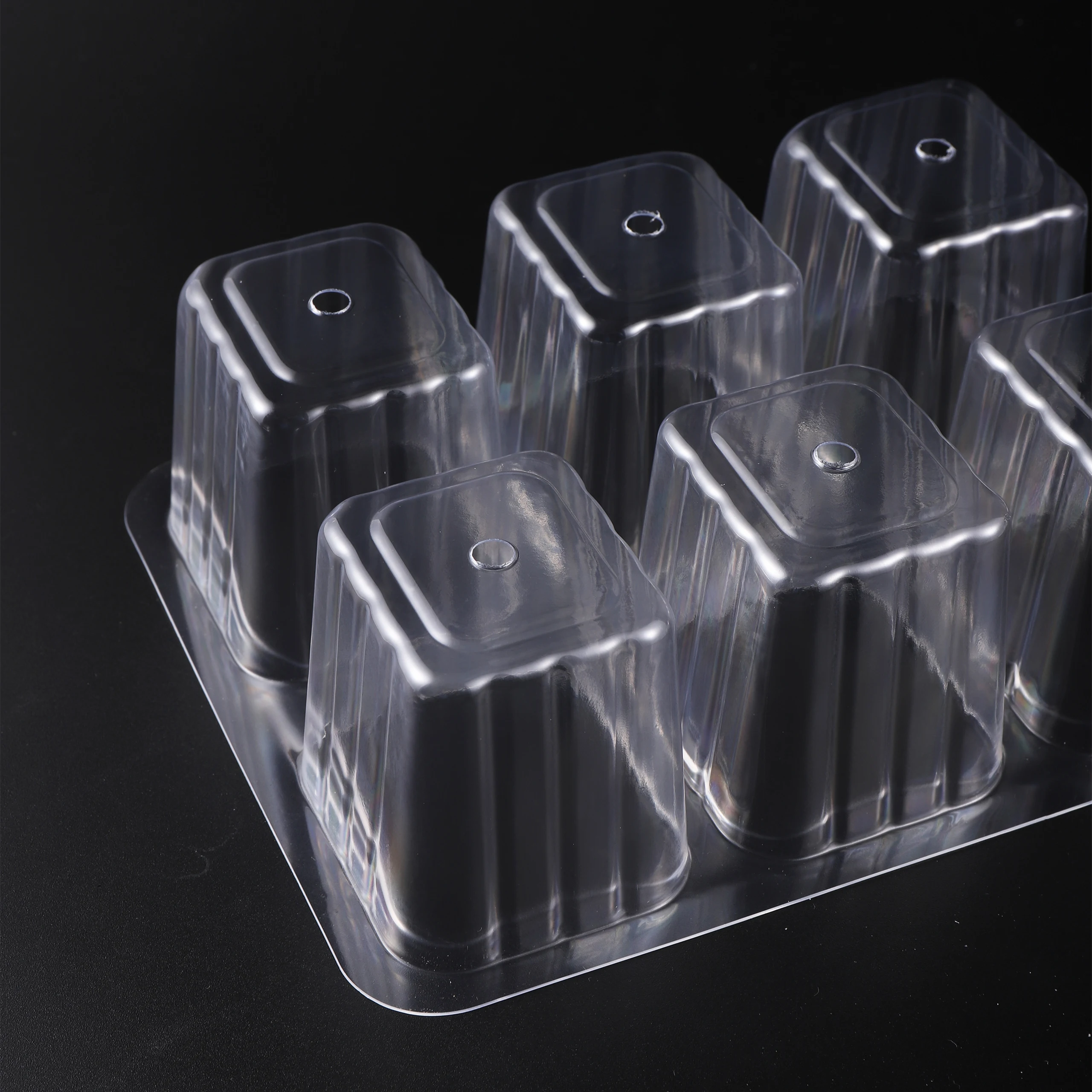 5 حزمة/مجموعة صينية بداية البذ - مراجعة Seed Starter Tray وسعره