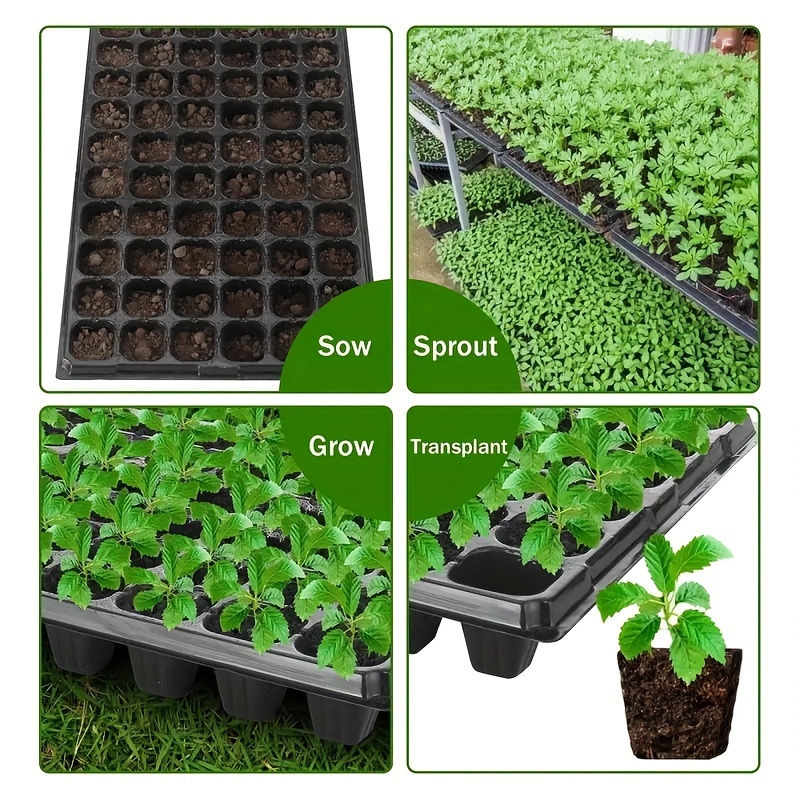 صينية مشتل 10-20 خلية، صينية إ - مراجعة Seed Starter Tray وسعره