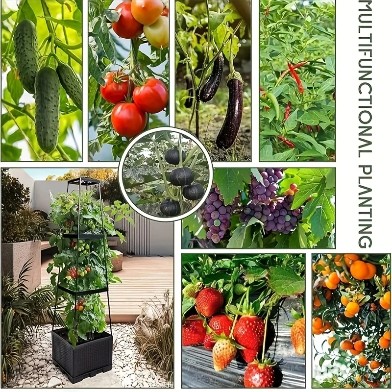برج طماطم مع صندوق زراعة ذاتي  - مراجعة Indoor Herb Garden وسعره