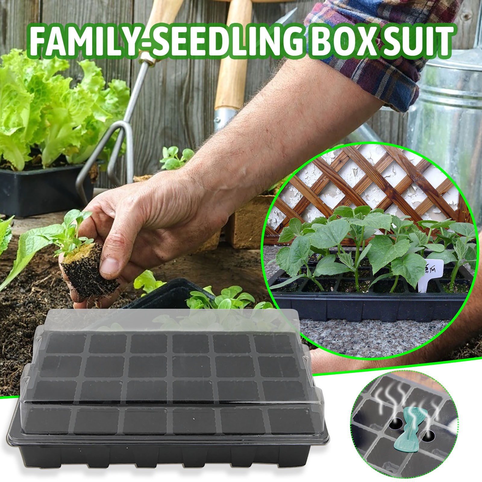 24 خلية علبة الشتلات صندوق إنب - مراجعة Seed Starter Tray وسعره