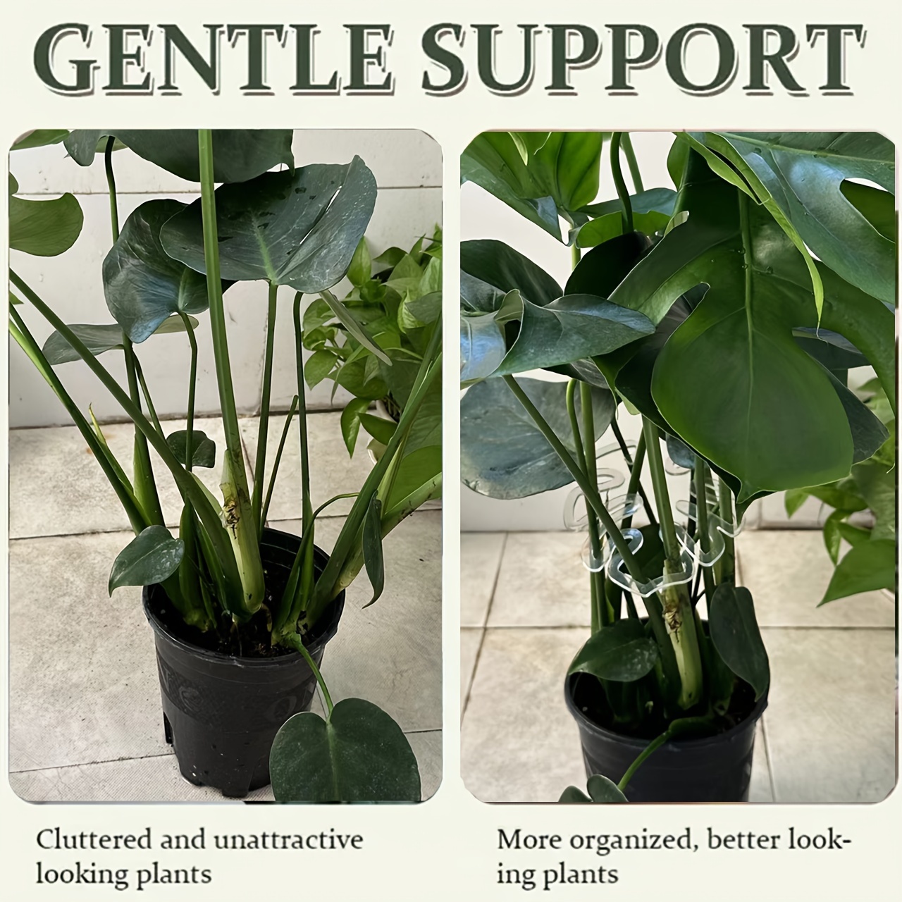 مشابك بلاستيكية مرنة لدعم نبات - مراجعة Vertical Planter وسعره