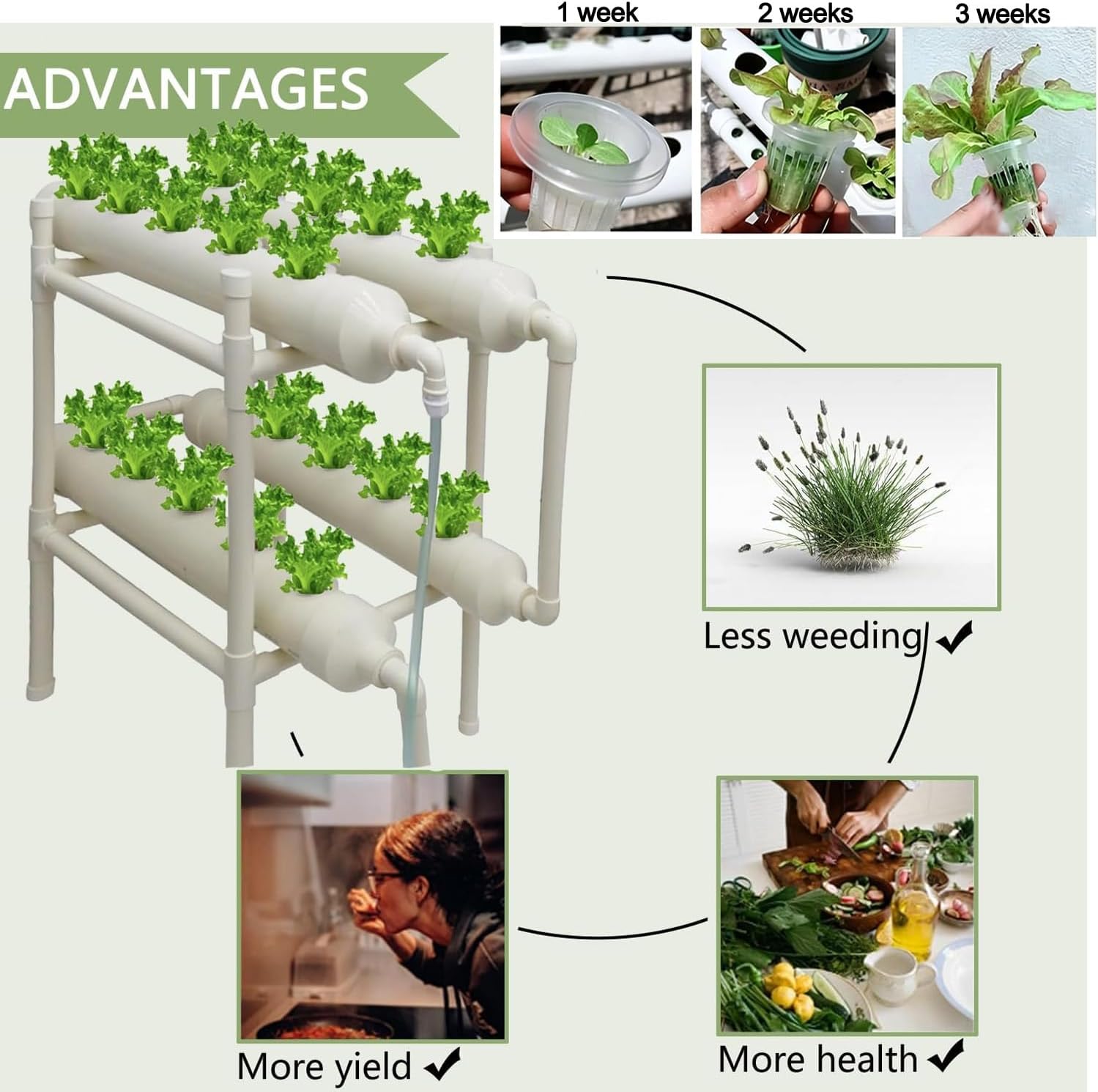 نظام زراعة مائية بـ 20 فتحة و4 - مراجعة Hydroponic Kit وسعره