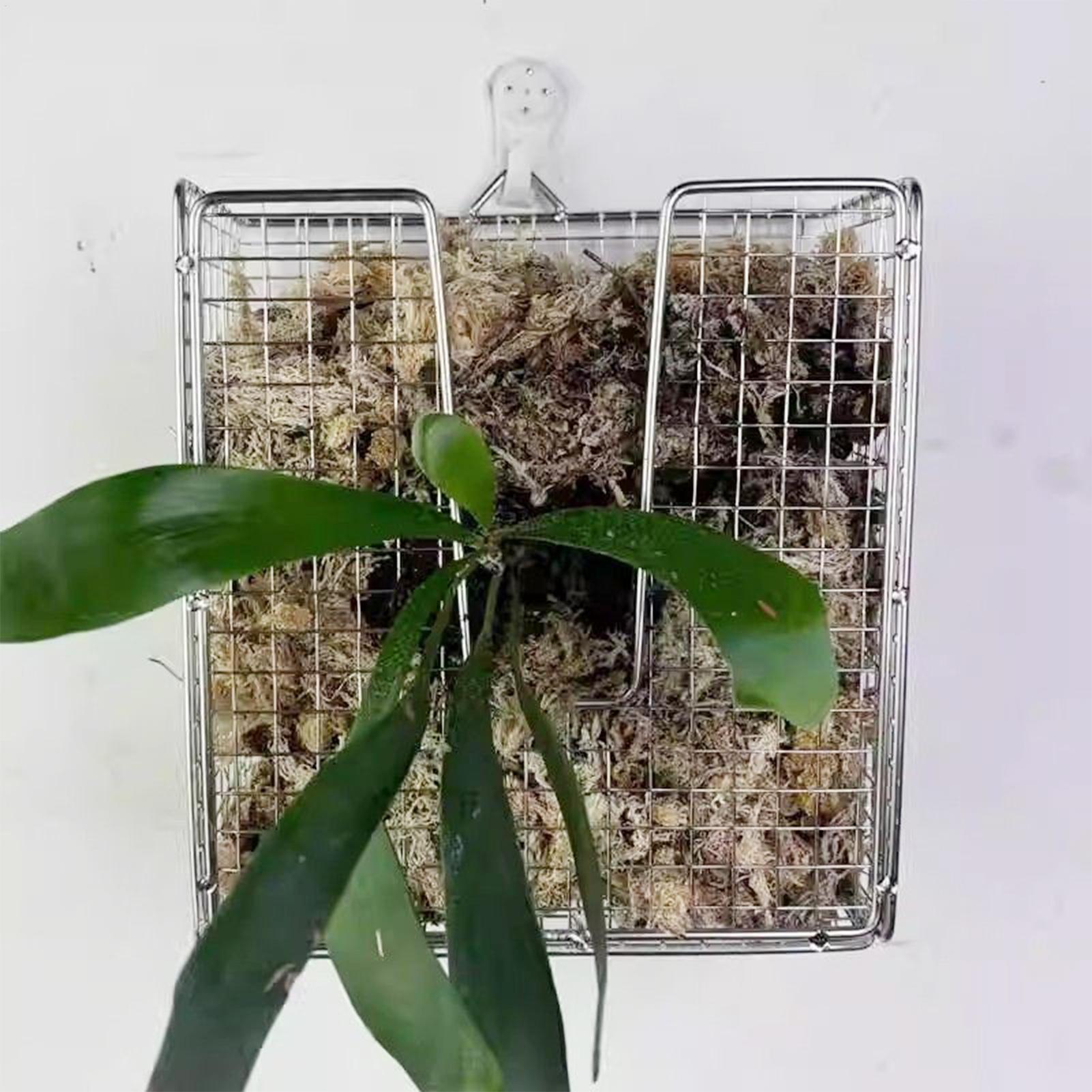 مجموعة أدوات تركيب السرخس من ا - مراجعة Vertical Planter وسعره