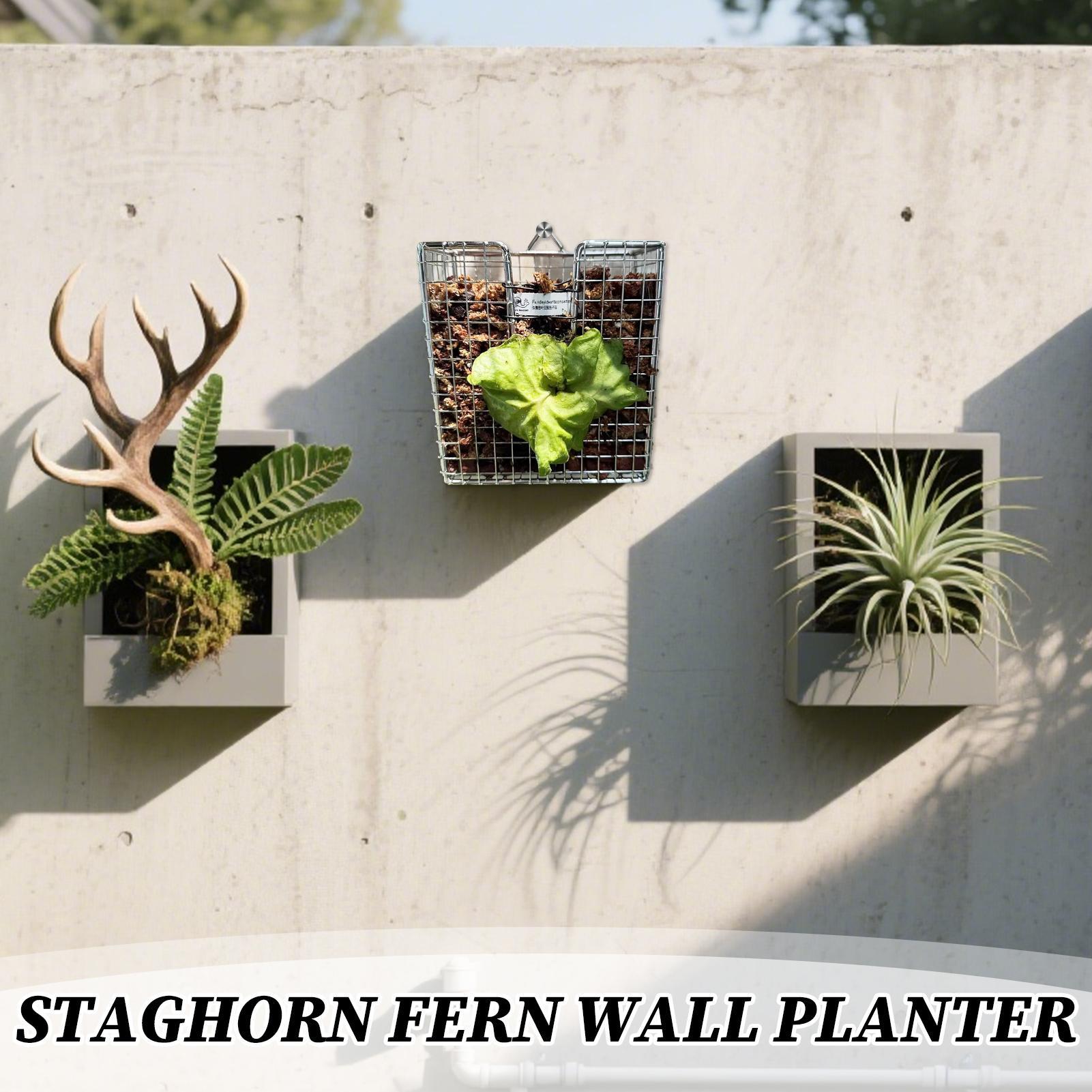 مجموعة أدوات تركيب السرخس من ا - مراجعة Vertical Planter وسعره