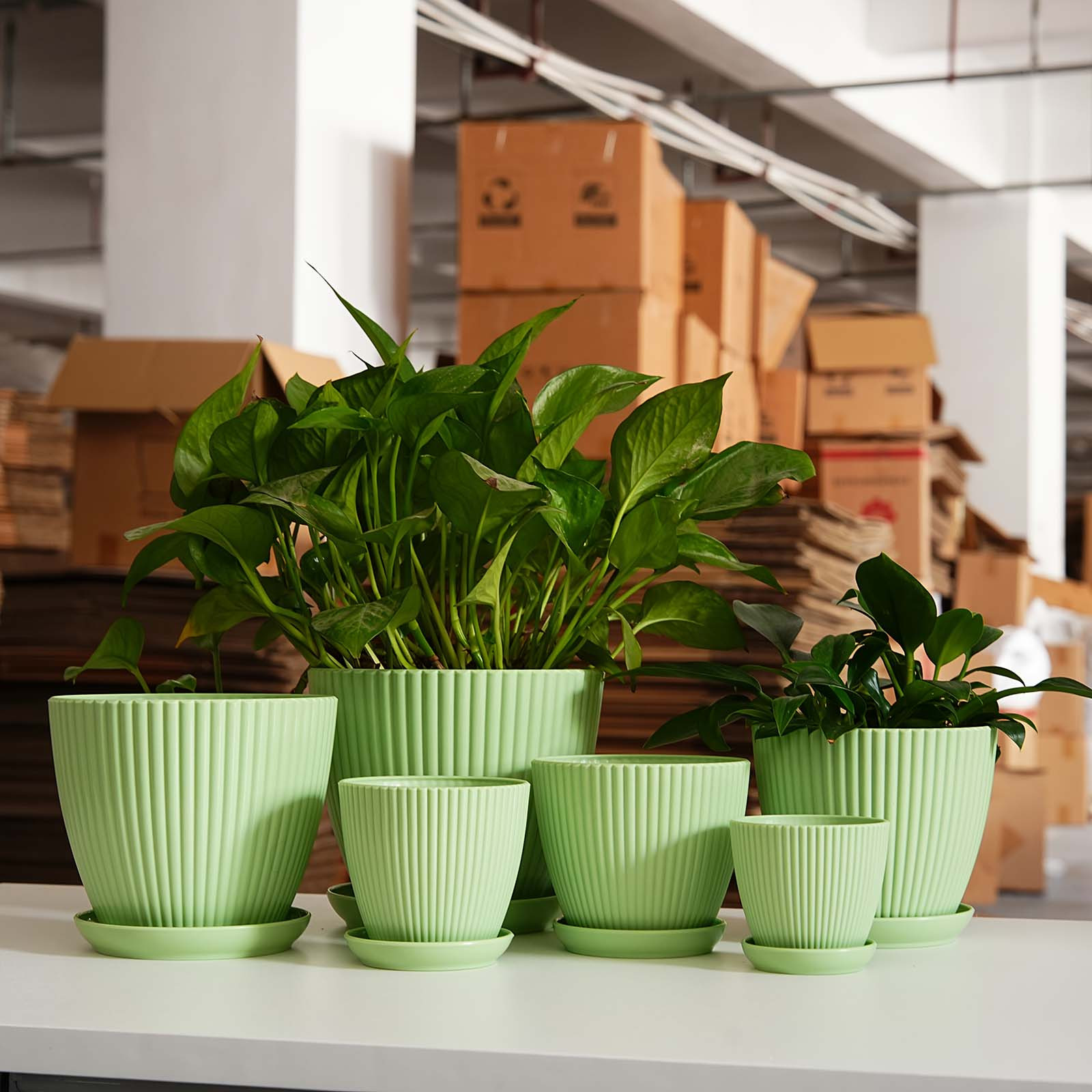 وعاء نباتات بلاستيكي سميك بخطو - مراجعة Vertical Planter وسعره