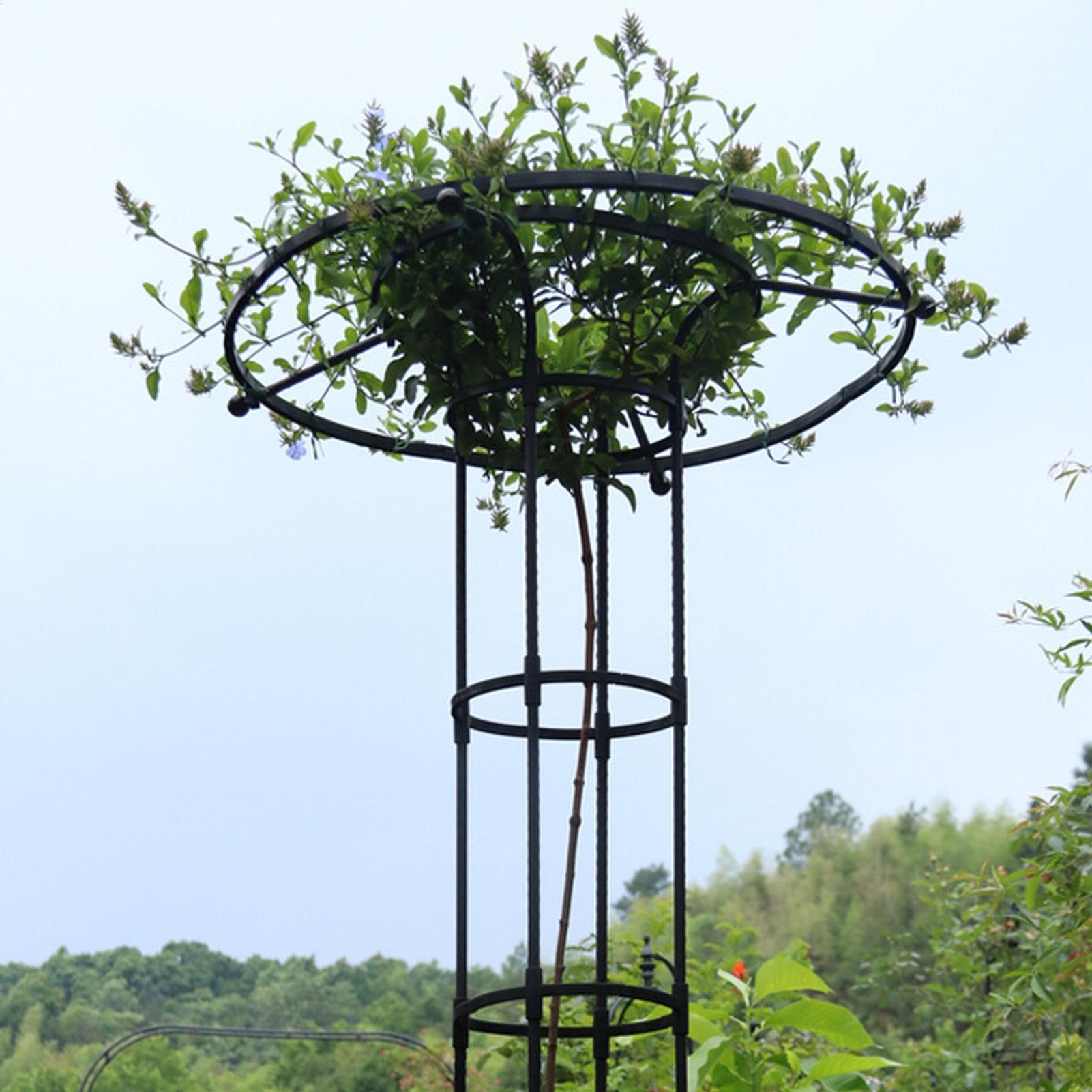 دعامة نباتات متسلقة للحديقة عل - مراجعة Vertical Planter وسعره