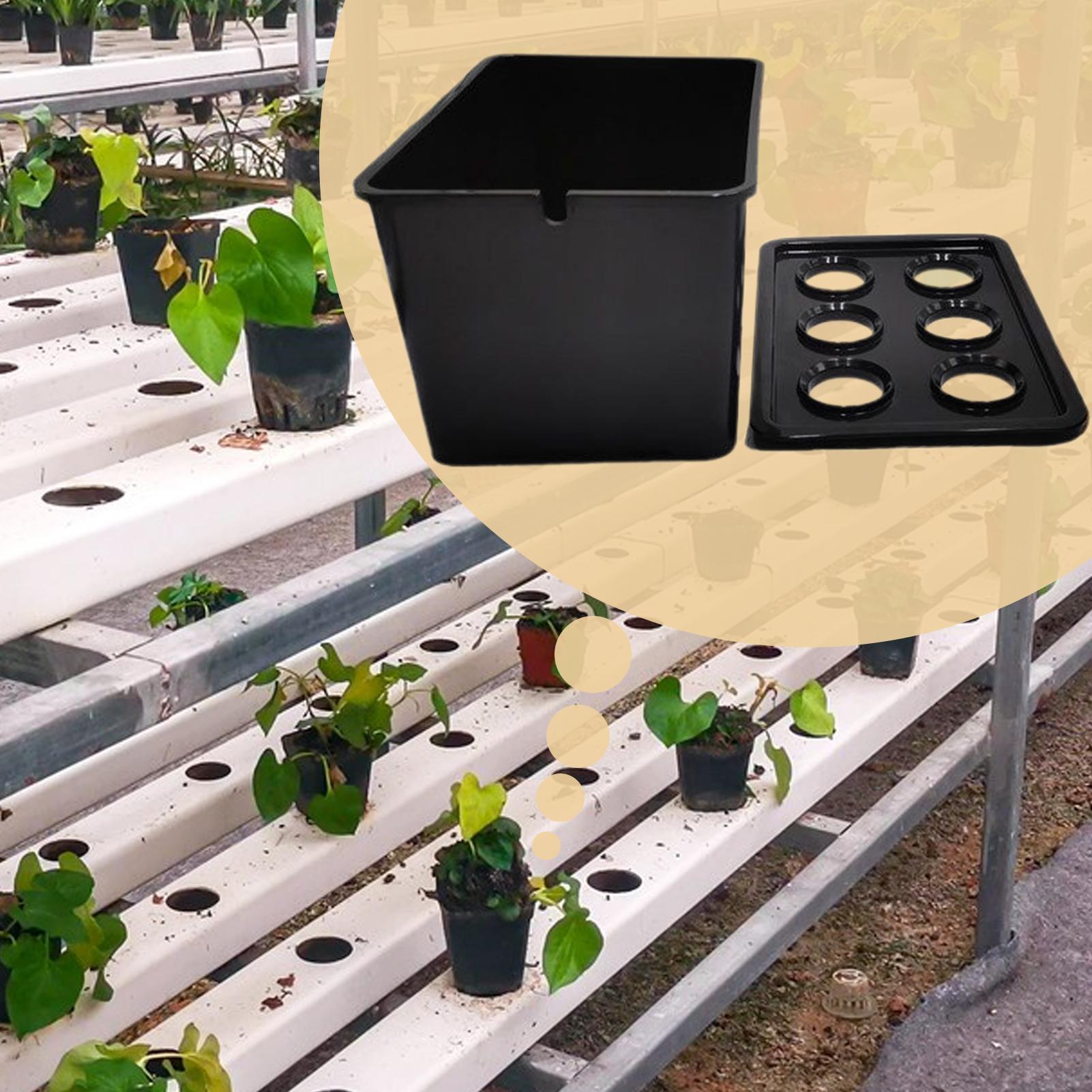 مجموعة الزراعة المائية المعدات - مراجعة Hydroponic Kit وسعره