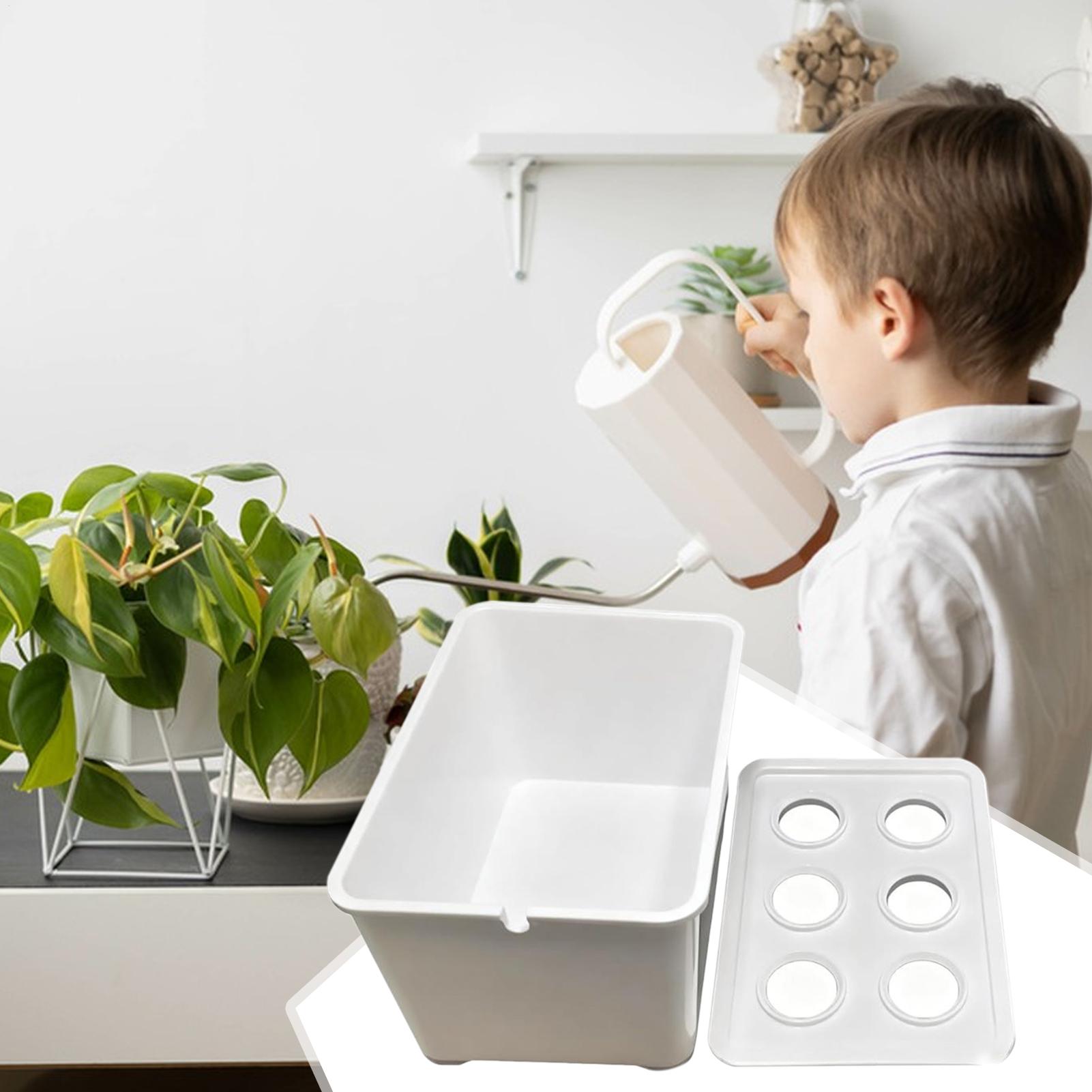 مجموعة الزراعة المائية المعدات - مراجعة Hydroponic Kit وسعره