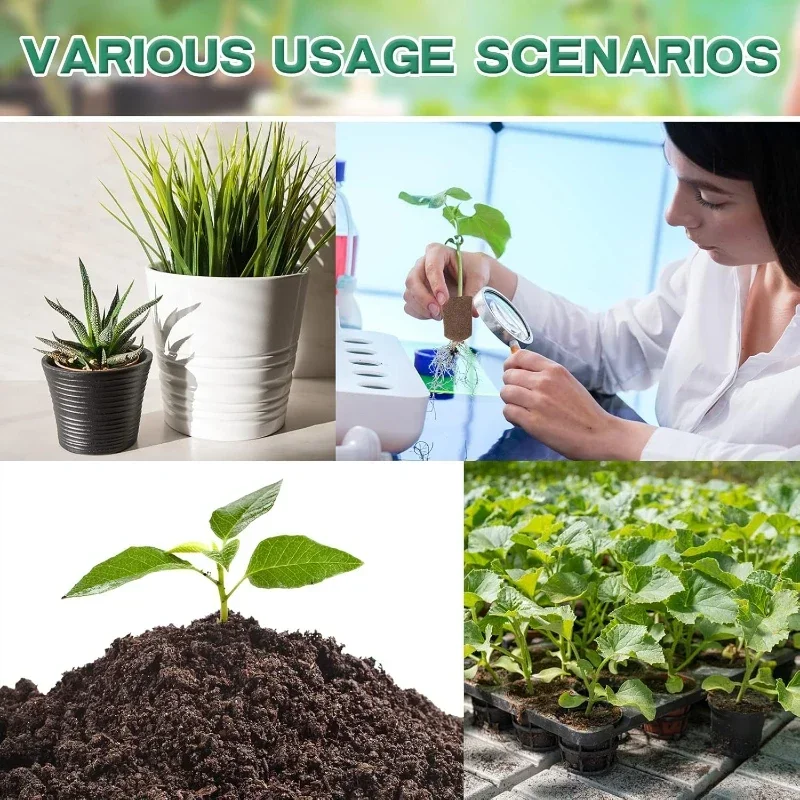 مجموعة إسفنجية لبدء زراعة الشت - مراجعة Hydroponic Kit وسعره