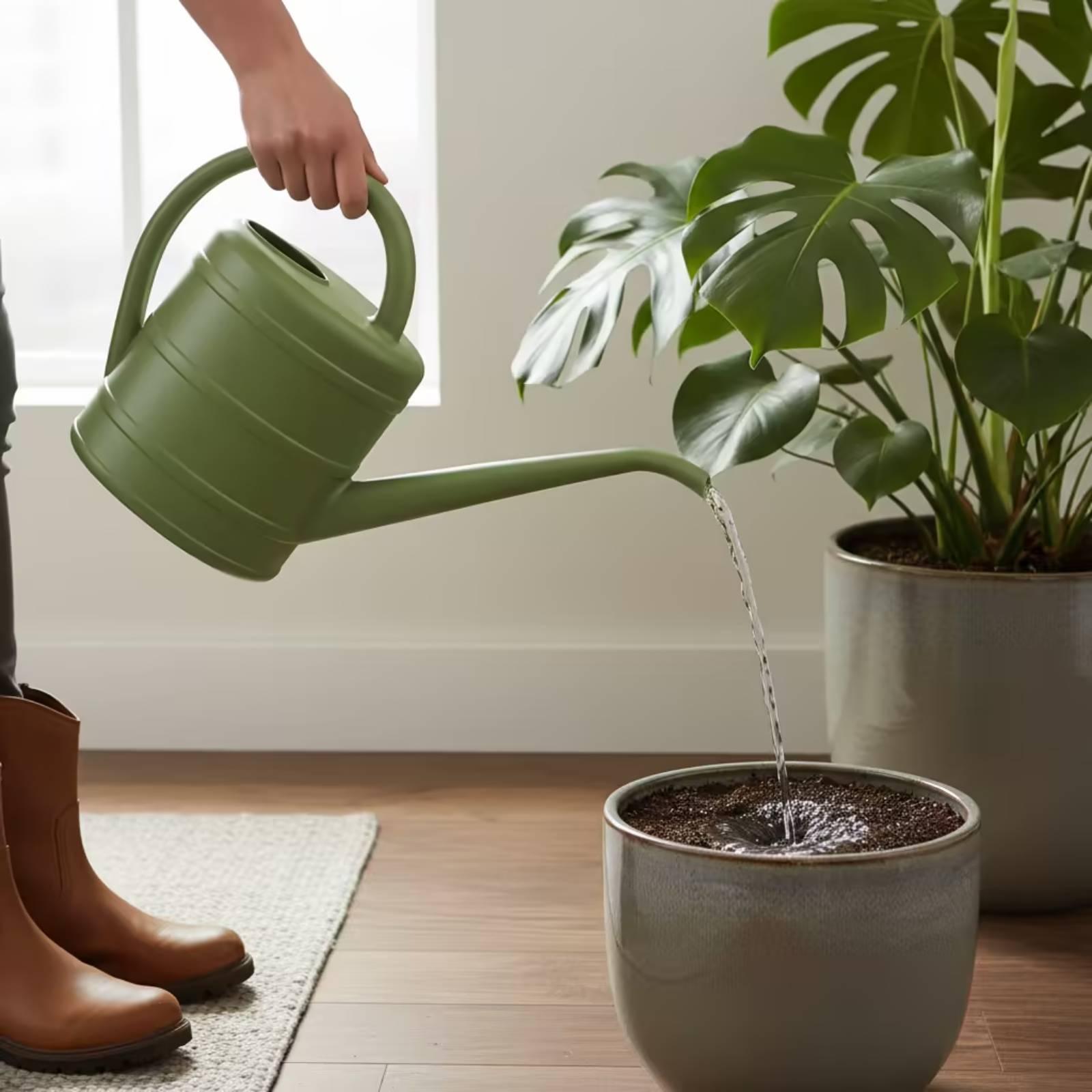إبريق سقي بفوهة طويلة سهل التن - مراجعة Watering Can وسعره