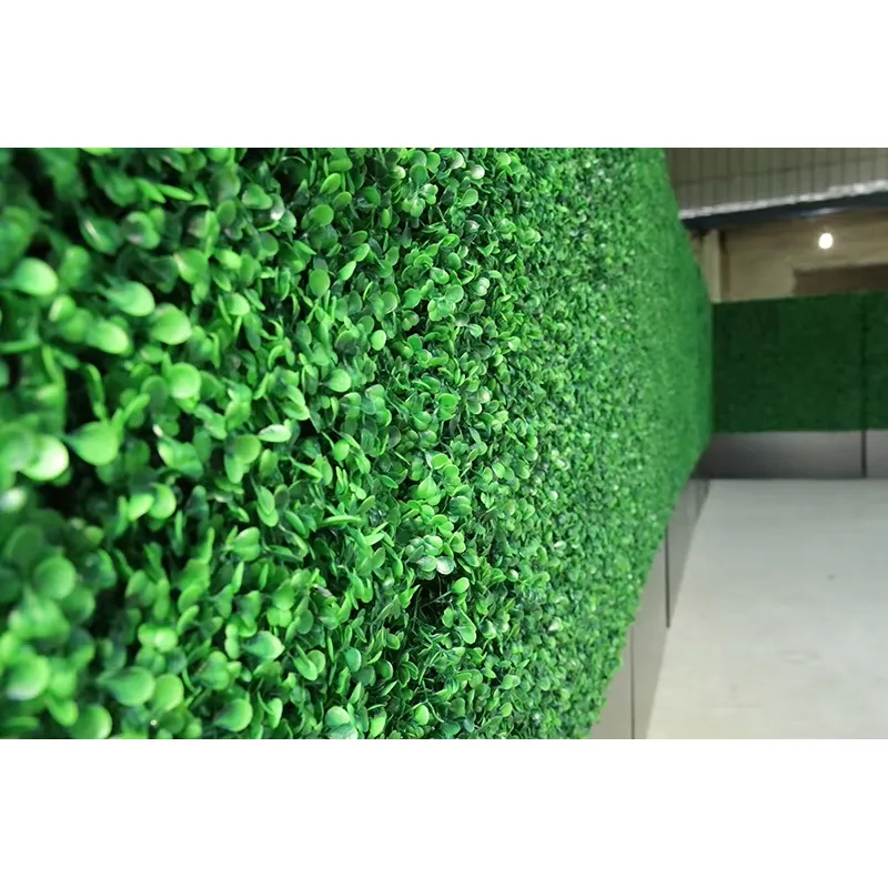 CQ-001 حديقة عمودية صديقة للبي - مراجعة Vertical Planter وسعره