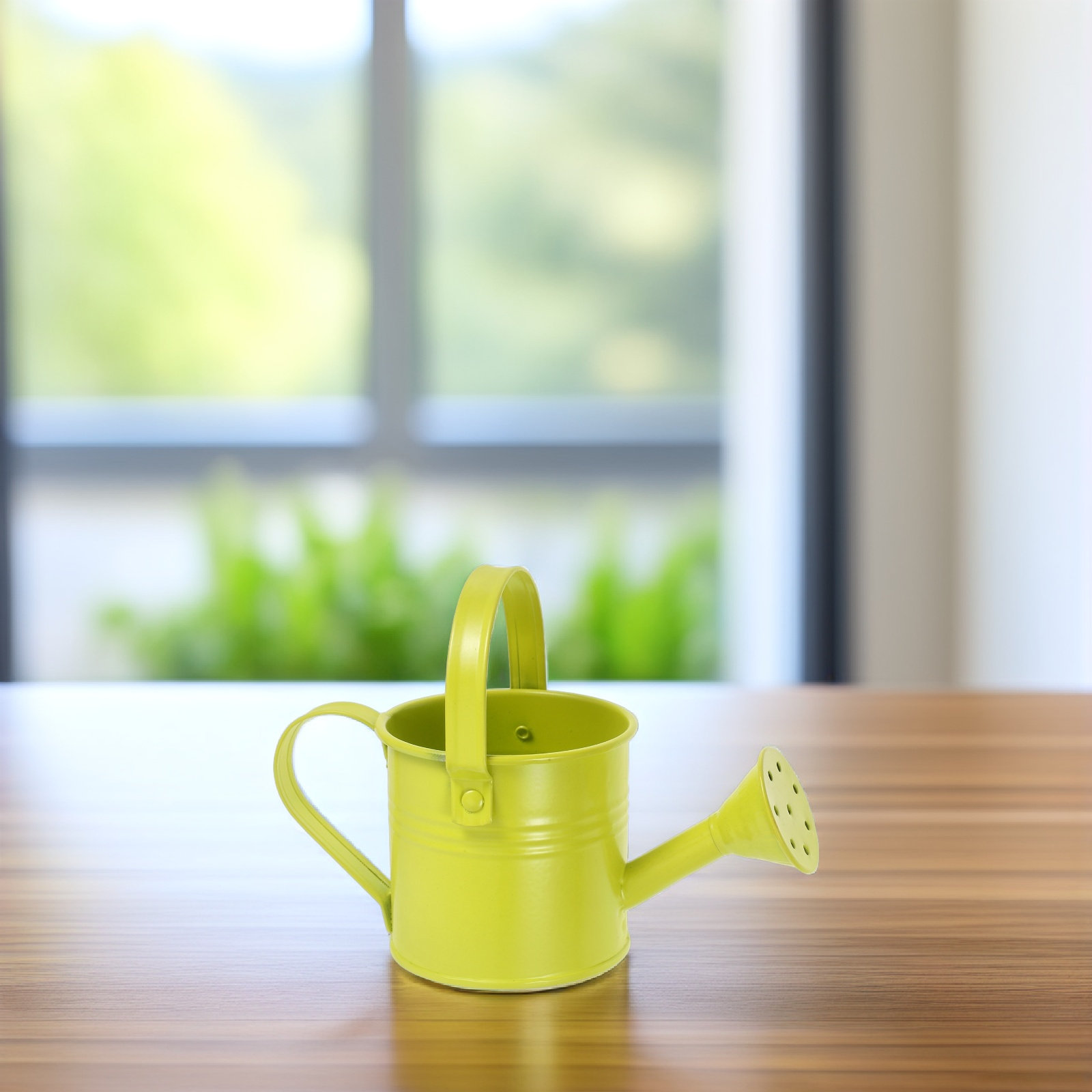 إبريق ري صغير من الصفيح المجلف - مراجعة Watering Can وسعره