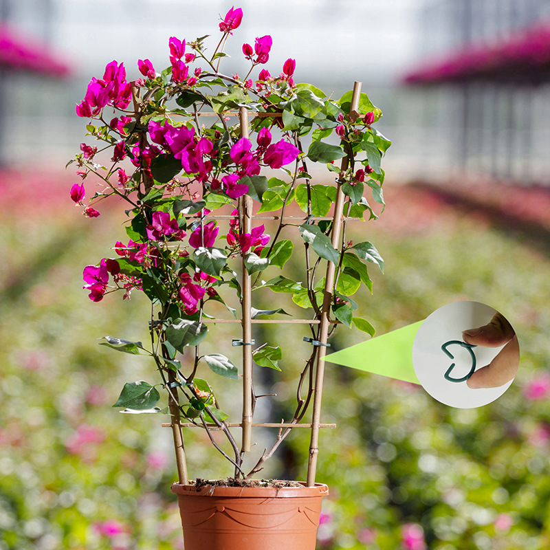 50/100 قطعة مشابك نباتات للحدا - مراجعة Vertical Planter وسعره
