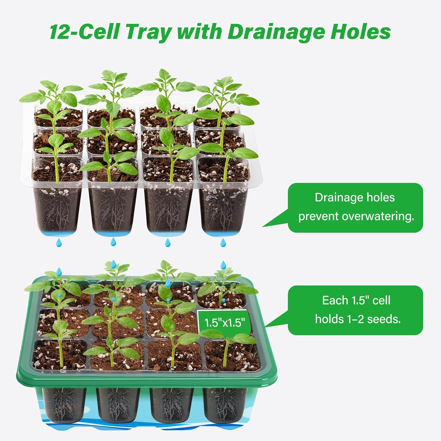 صواني زراعة وبدء الإنبات للبذو - مراجعة Seed Starter Tray وسعره