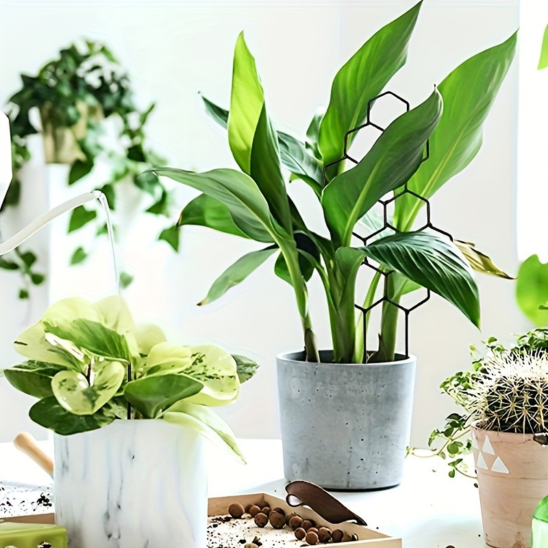 دعامة نباتات بتصميم خلية النحل - مراجعة Indoor Herb Garden وسعره